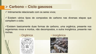 ➢ Carbono – Ciclo gasosos
✓ Intimamente relacionado com os seres vivos;
✓ Existem vários tipos de compostos de carbono nas diversas etapas que
compõem o ciclo;
✓Existem basicamente duas formas de carbono, uma orgânica, presente nos
organismos vivos e mortos, não decompostos, e outra inorgânica, presente nas
rochas.
• Orgânica • inorgânica
 