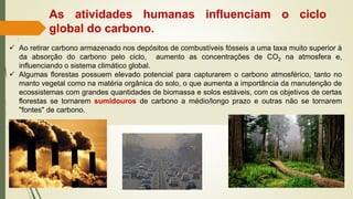 As atividades humanas influenciam o ciclo
global do carbono.
✓ Ao retirar carbono armazenado nos depósitos de combustíveis fósseis a uma taxa muito superior à
da absorção do carbono pelo ciclo, aumento as concentrações de CO2 na atmosfera e,
influenciando o sistema climático global.
✓ Algumas florestas possuem elevado potencial para capturarem o carbono atmosférico, tanto no
manto vegetal como na matéria orgânica do solo, o que aumenta a importância da manutenção de
ecossistemas com grandes quantidades de biomassa e solos estáveis, com os objetivos de certas
florestas se tornarem sumidouros de carbono a médio/longo prazo e outras não se tornarem
"fontes" de carbono.
 