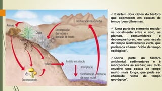 ✓ Existem dois ciclos do fósforo
que acontecem em escalas de
tempo bem diferentes.
✓ Uma parte do elemento recicla-
se localmente entre o solo, as
plantas, consumidores e
decompositores, em uma escala
de tempo relativamente curta, que
podemos chamar “ciclo de tempo
ecológico”.
✓ Outra parte do fósforo
ambiental sedimenta-se e é
incorporada às rochas; seu ciclo
envolve uma escala de tempo
muito mais longa, que pode ser
chamada “ciclo de tempo
geológico”.
 