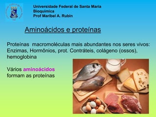 Universidade Federal de Santa Maria
Bioquímica
Prof Maribel A. Rubin
Aminoácidos e proteínas
Proteínas macromoléculas mais abundantes nos seres vivos:
Enzimas, Hormônios, prot. Contráteis, colágeno (ossos),
hemoglobina
Vários aminoácidos
formam as proteínas
 