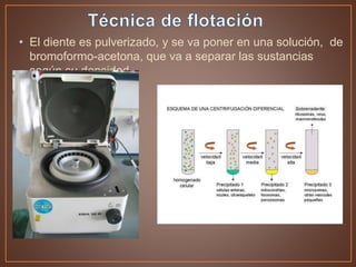 • El diente es pulverizado, y se va poner en una solución, de
bromoformo-acetona, que va a separar las sustancias
según su densidad.
 
