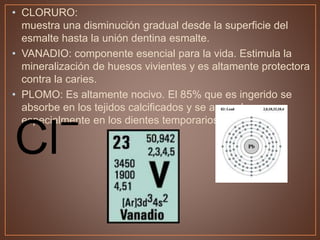• CLORURO:
muestra una disminución gradual desde la superficie del
esmalte hasta la unión dentina esmalte.
• VANADIO: componente esencial para la vida. Estimula la
mineralización de huesos vivientes y es altamente protectora
contra la caries.
• PLOMO: Es altamente nocivo. El 85% que es ingerido se
absorbe en los tejidos calcificados y se acumula
especialmente en los dientes temporarios del niño
 