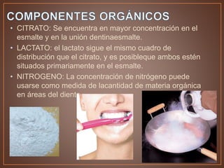 • CITRATO: Se encuentra en mayor concentración en el
esmalte y en la unión dentinaesmalte.
• LACTATO: el lactato sigue el mismo cuadro de
distribución que el citrato, y es posibleque ambos estén
situados primariamente en el esmalte.
• NITROGENO: La concentración de nitrógeno puede
usarse como medida de lacantidad de materia orgánica
en áreas del diente
 