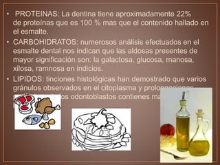 • PROTEINAS: La dentina tiene aproximadamente 22%
de proteínas que es 100 % mas que el contenido hallado en
el esmalte.
• CARBOHIDRATOS: numerosos análisis efectuados en el
esmalte dental nos indican que las aldosas presentes de
mayor significación son: la galactosa, glucosa, manosa,
xilosa, ramnosa en indicios.
• LIPIDOS: tinciones histológicas han demostrado que varios
gránulos observados en el citoplasma y prolongaciones
periféricas de los odontoblastos contienes mayormente
lípidos.
 