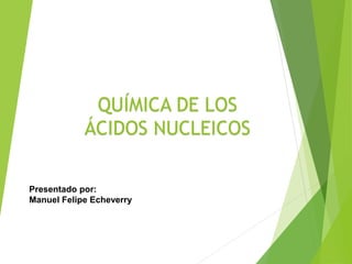 QUÍMICA DE LOS
ÁCIDOS NUCLEICOS
Presentado por:
Manuel Felipe Echeverry
 