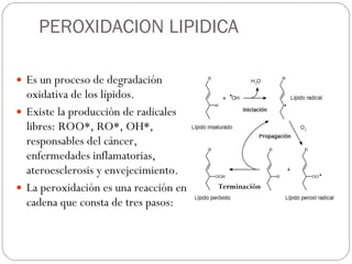 PEROXIDACION LIPIDICA Es un proceso de degradación oxidativa de los lípidos. Existe la producción de radicales libres: ROO*, RO*, OH*, responsables del cáncer, enfermedades inflamatorias, ateroesclerosis y envejecimiento. La peroxidación es una reacción en cadena que consta de tres pasos:  Terminación 