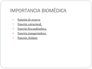 IMPORTANCIA BIOMÉDICA Función de reserva Función estructural. Función biocatalizadora.   Función transportadora.   Función Aislante 