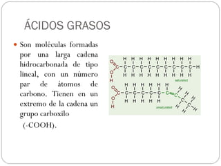 ÁCIDOS GRASOS Son moléculas formadas por una larga cadena hidrocarbonada de tipo lineal, con un número par de átomos de carbono. Tienen en un extremo de la cadena un grupo carboxilo  (-COOH).  