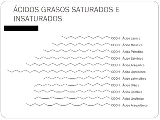 ÁCIDOS GRASOS SATURADOS E INSATURADOS 