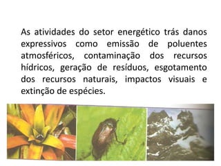 As atividades do setor energético trás danos
expressivos como emissão de poluentes
atmosféricos, contaminação dos recursos
hídricos, geração de resíduos, esgotamento
dos recursos naturais, impactos visuais e
extinção de espécies.
 