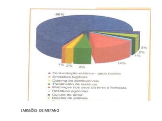 EMISSÕES DE METANO
 