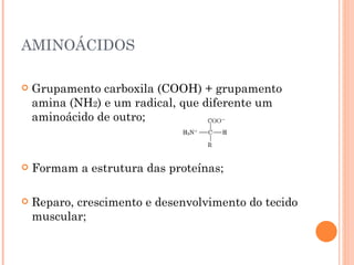 AMINOÁCIDOS

   Grupamento carboxila (COOH) + grupamento
    amina (NH2) e um radical, que diferente um
    aminoácido de outro;



   Formam a estrutura das proteínas;

   Reparo, crescimento e desenvolvimento do tecido
    muscular;
 