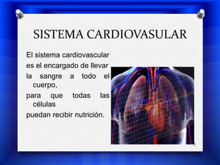 SISTEMA CARDIOVASULAREl sistema cardiovascular es el encargado de llevarla sangre a todo el cuerpo,para que todas las célulaspuedan recibir nutrición. 3