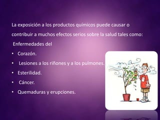 La exposición a los productos químicos puede causar o
contribuir a muchos efectos serios sobre la salud tales como:
Enfermedades del
• Corazón.
• Lesiones a los riñones y a los pulmones.
• Esterilidad.
• Cáncer.
• Quemaduras y erupciones.
 
