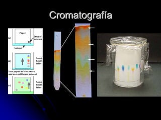 CromatografCromatografííaa
 
