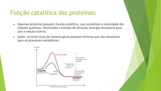 Função catalítica das proteínas:
► Algumas proteínas possuem função catalítica, que aumentam a velocidade das
reações químicas, diminuindo a energia de ativação (energia necessária para
que a reação ocorra).
► Assim, os seres vivos de maneira geral possuem enzimas que são necessária
para os processos metabólicos;
 