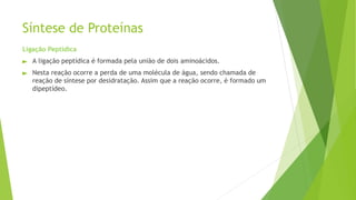 Síntese de Proteínas
Ligação Peptídica
► A ligação peptídica é formada pela união de dois aminoácidos.
► Nesta reação ocorre a perda de uma molécula de água, sendo chamada de
reação de síntese por desidratação. Assim que a reação ocorre, é formado um
dipeptídeo.
 