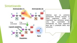 Sintetizando
Sabemos que as proteínas
apresentam diversas funções no
nosso organismo, então é
importante que tenhamos sempre
uma boa quantidade de
aminoácidos no nosso organismo
para que a produção delas seja
suficiente.
 