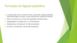 Formação da ligação peptídica.
► A reação pode ocorrer de forma inversa, quebrando a ligação peptídica
adicionando água na reação, o qual chamamos de reação por hidrólise.
► Assim, de acordo com o número de peptídeos formados temos:
► Oligopeptídeos: formados por 2 a 10 aminoácidos;
► Polipeptídeos: formados por 10 a 80 aminoácidos;
► Proteínas: formados por mais de 80 aminoácidos.
 
