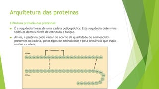 Arquitetura das proteínas
Estrutura primária das proteínas:
► É a sequência linear de uma cadeia polipeptídica. Esta sequência determina
todos os demais níveis de estrutura e função.
► Assim, a proteína pode variar de acordo da quantidade de aminoácidos
presentes na cadeia, pelos tipos de aminoácidos e pela sequência que estão
unidos a cadeia.
 