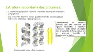 Estrutura secundária das proteínas:
► É constituída por padrões regulares e repetidos ao longo de uma cadeia
polipeptídica.
► São conhecidos dois tipos básicos que são originadas pelas ligações de
hidrogênio: alfa hélice e beta pregueada.
Diferentemente da estrutura
primária que são formados por
ligações covalentes, a estrutura
secundária pode sofrer alterações
com o aumento da temperatura em
um processo chamado de
desnaturação proteica.
 