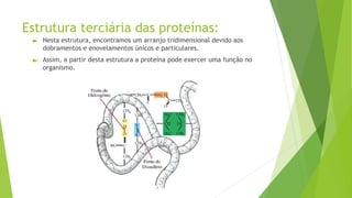 Estrutura terciária das proteínas:
► Nesta estrutura, encontramos um arranjo tridimensional devido aos
dobramentos e enovelamentos únicos e particulares.
► Assim, a partir desta estrutura a proteína pode exercer uma função no
organismo.
 