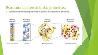Estrutura quaternária das proteínas:
► São estruturas formadas pela união de duas ou mais estruturas terciárias.
 