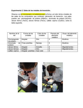 Experimento 2. Sales de los metales de transición.
Observa con el microscopio o el estereoscopio la forma y el color de los cristales de
las sales de los compuestos que contienen elementos de transición. Las sales
pueden ser: permanganato de potasio (KMnO4), dicromato de potasio (KCrO4),
cloruro férrico (FeCI3), cloruro ferroso (FeCI2), sulfato cúprico (CuSO4). Llena la
tabla siguiente.
Nombre de la
sal
Forma de los
cristales
Color de los
cristales
Periodo del
elemento
metálico
Grupo del elemento
metálico
Permanganato
de potasio
Irregular Gris 4 Alcalinos
Dicromato de
potasio
Finas piedritas Naranja 4 Alcalinos
cloruro férrico Irregular Amarillo 4 Oligoelementos
cloruro ferroso Irregular Gris 4 Oligoelementos
sulfato cúprico Irregular piedritas Azul cielo 4
 