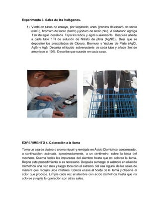 Experimento 3. Sales de los halógenos.
1) Vierte en tubos de ensayo, por separado, unos granitos de cloruro de sodio
(NaCI), bromuro de sodio (NaBr) y yoduro de sodio(NaI). A cada tubo agrega
1 ml de agua destilada. Tapa los tubos y agita suavemente. Después añade
a cada tubo 1ml de solución de Nitrato de plata (AgNO3). Deja que se
depositen los precipitados de Cloruro, Bromuro y Yoduro de Plata (AgCl,
AgBr y AgI). Decanta el líquido sobrenadante de cada tubo y añade 3ml de
amoniaco al 10%. Describe que sucede en cada caso.
EXPERIMENTO 4. Coloración a la llama
Toma un asa de platino o cromo níquel y remójala en Ácido Clorhídrico concentrado,
a continuación acércala, aproximadamente, a un centímetro sobre la boca del
mechero. Quema todas las impurezas del alambre hasta que no coloree la llama.
Repite este procedimiento si es necesario. Después sumerge el alambre en el acido
clorhídrico una vez mas y luego toca con el extremo del asa alguna de las sales de
manera que recojas unos cristales. Coloca el asa al borde de la llama y observa el
color que produce. Limpia cada vez el alambre con acido clorhídrico hasta que no
coloree y repite la operación con otras sales.
 