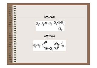 AMINA:




AMIDA:
 