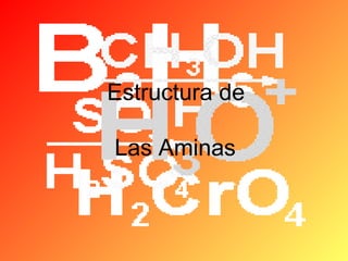 Estructura de
Las Aminas

 