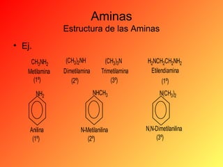 Aminas
Estructura de las Aminas
• Ej.
CH3NH2
Metilamina
(1º)

(CH3)2NH
Dimetilamina
(2º)

(CH3)3N
Trimetilamina
(3º)

NH2

NHCH3

Anilina
(1º)

N-Metilanilina
(2º)

H2NCH2CH2NH2
Etilendiamina
(1º)
N(CH3)2

N,N-Dimetilanilina
(3º)

 