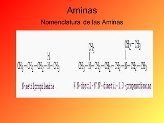Aminas
Nomenclatura de las Aminas

 
