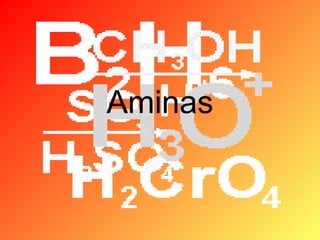 Aminas

 