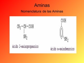 Aminas
Nomenclatura de las Aminas

 
