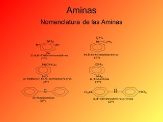 Aminas
Nomenclatura de las Aminas
CH3
NH2
Br

N

C 2 H5

Br

Br
2,4,6-Tribromoanilina
(1º)

N-Etil-N-metilanilina
(3º)
CH3

N(CH3 )2

NO
p-Nitroso-N,N-dimetilanilina
(3º)
H
N
Difenilamina
(2º)

NH2
p-Toluidina
(1º)

O2 N

H
N
4,4'-Dinitrodifenilamina
(2º)

NO2

 