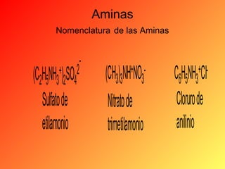 Aminas
Nomenclatura de las Aminas

+) SO 2
(C2H5NH3 2 4

Sulfato de
etilamonio

-

(CH3)3NH+NO3Nitrato de
trimetilamonio

C6H5NH3+CICloruro de
anilinio

 