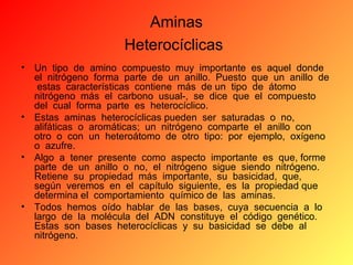Aminas
Heterocíclicas
•

Un tipo de amino compuesto muy importante es aquel donde
el nitrógeno forma parte de un anillo. Puesto que un anillo de
estas características contiene más de un tipo de átomo
nitrógeno más el carbono usual-, se dice que el compuesto
del cual forma parte es heterocíclico.
• Estas aminas heterocíclicas pueden ser saturadas o no,
alifáticas o aromáticas; un nitrógeno comparte el anillo con
otro o con un heteroátomo de otro tipo: por ejemplo, oxígeno
o azufre.
• Algo a tener presente como aspecto importante es que, forme
parte de un anillo o no, el nitrógeno sigue siendo nitrógeno.
Retiene su propiedad más importante, su basicidad, que,
según veremos en el capítulo siguiente, es la propiedad que
determina el comportamiento químico de las aminas.
• Todos hemos oído hablar de las bases, cuya secuencia a lo
largo de la molécula del ADN constituye el código genético.
Estas son bases heterocíclicas y su basicidad se debe al
nitrógeno.

 