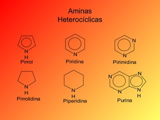 Aminas
Heterocíclicas
N
N
H
Pirrol

N

N
Pirimidina

Piridina

N

N
N
H
Pirrolidina

N
H
Piperidina

N
Purina

N
H

 
