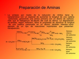 Preparación de Aminas
•

La síntesis por medio de la reducción de nitrilos tiene la
característica con un especial de aumentar la longitud de una cadena
carbonada, generando una amina primaria con un átomo de carbono
más que el halogenuro de alquilo del cual se deriva. La degradación
de amidas, según Hofmann, tiene la propiedad de disminuir la longitud
de una cadena carbonada en un átomo; también interesa como
ejemplo de un tipo de reacciones importantes que presentan
transposición.
KMnO4

RC

O SOCI2
OH
NaCN

R

CH2OH

PBr3

K2Cr2O7

RCH2Br

H
RC

O

O NH
3
RC
CI
RCH2C

O
RC

OBr-

NH2
H , Ni
R
N 2

NH3
NH3, H2, Ni

R

NH2

CH2CH2NH2

R

CH2NH2

R

CH2NH2

Número
inferior
de carbonos
Número
superior
de carbonos
Número
igual
de carbonos
Número
igual
de carbonos

 