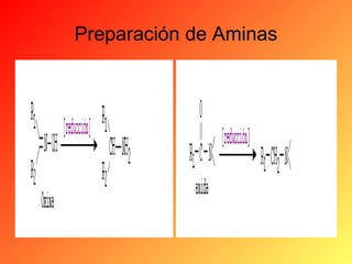 Preparación de Aminas

 