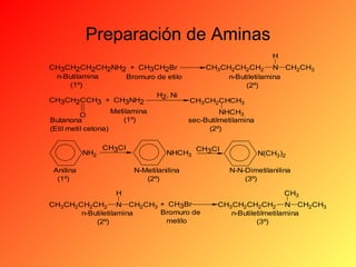 Preparación de Aminas
H
CH3CH2CH2CH2NH2 + CH3CH2Br
n-Butilamina
Bromuro de etilo
(1º)
CH3CH2CCH3 + CH3NH2
Metilamina
O
(1º)
Butanona
(Etil metil cetona)
NH2

CH3CI

Anilina
(1º)

H2, Ni

CH3CH2CH2CH2 N CH2CH3
n-Butiletilamina
(2º)
CH3CH2CHCH3
NHCH3
sec-Butilmetilamina
(2º)

NHCH3

CH3CI

N-Metilanilina
(2º)
H

CH3CH2CH2CH2 N CH2CH3 + CH3Br
Bromuro de
n-Butiletilamina
metilo
(2º)

N(CH3)2
N-N-Dimetilanilina
(3º)
CH3

CH3CH2CH2CH2 N CH2CH3
n-Butiletilmetilamina
(3º)

 