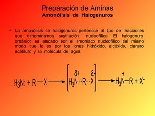 Preparación de Aminas
Amonólisis de Halogenuros
•

La amonólisis de halogenuros pertenece al tipo de reacciones
que denominamos sustitución
nucleofílica. El halogenuro
orgánico es atacado por el amoniaco nucleofílico del mismo
modo que lo es por los iones hidróxido, alcóxido, cianuro
acetiluro y la molécula de agua:

H3N: + R X

&+ &H3N R X

+
H3N R + X-

 