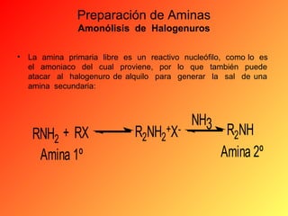 Preparación de Aminas
Amonólisis de Halogenuros
•

La amina primaria libre es un reactivo nucleófilo, como lo es
el amoniaco del cual proviene, por lo que también puede
atacar al halogenuro de alquilo para generar la sal de una
amina secundaria:

RNH2 + RX
Amina 1º

NH3
R2NH
R2NH2+XAmina 2º

 
