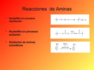 Reacciones de Aminas
•

Nucleófilo en procesos
alquilación:

•

Nucleófilo en procesos
acilación

•

Oxidación de aminas
aromáticas

 