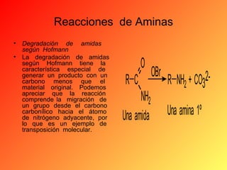 Reacciones de Aminas
•

Degradación de amidas
según Hofmann
• La degradación de amidas
según Hofmann tiene la
característica especial de
generar un producto con un
carbono menos que el
material original. Podemos
apreciar que la reacción
comprende la migración de
un grupo desde el carbono
carbonílico hacia el átomo
de nitrógeno adyacente, por
lo que es un ejemplo de
transposición molecular.

O
RC
NH2
Una amida

OBr

R NH2 + CO32Una amina 1º

 