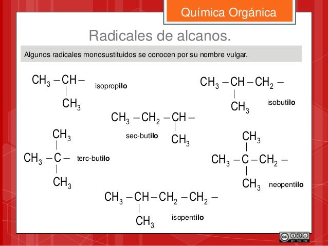 Resultado de imagen de tabla nombre ramificaciones