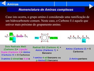 Aminas
               Nomenclatura de Aminas complexas

   Caso isto ocorra, o grupo amino é considerado uma ramificação de
   um hidrocarboneto comum. Neste caso, o Carbono 1 é aquele que
   estiver mais próximo do grupamento amino.




   Dois Radicais Metil      Radical Etil (Carbono 4) +
  (Carbono 2)+ Ligação                                   Amino (Carbono 2) + 5
                              Amino (Carbono 1) +
Dupla (Carbono 4)+ Amino                                       Carbonos
                                    Benzeno
(Carbono 3) + 6 Carbonos
                            1-amino-4-etilbenzeno ou
3-amino-2-dimetilex-4-eno                                   2-Aminopentano
                               p-AminoEtilbenzeno
 