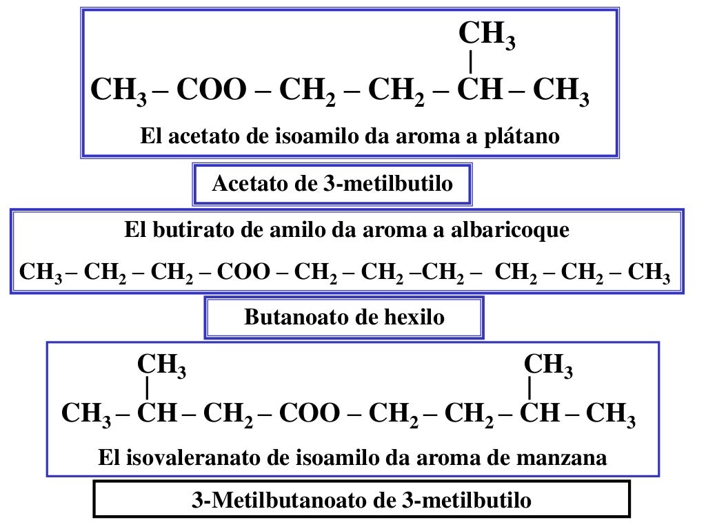 Química orgánica ejemplos de ésteres Química orgánica ejemplos de ésteres