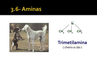 N

CH3   CH3    CH3


Trimetilamina
  ( cheiro a cão )
 